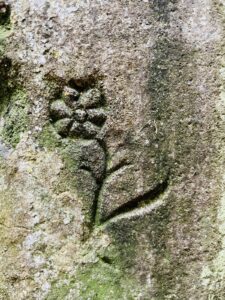 Źródło koło pełnik europejski (róża kłodzka) na skale