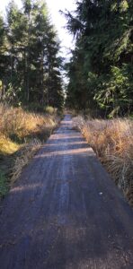 kładka na szlaku (2)